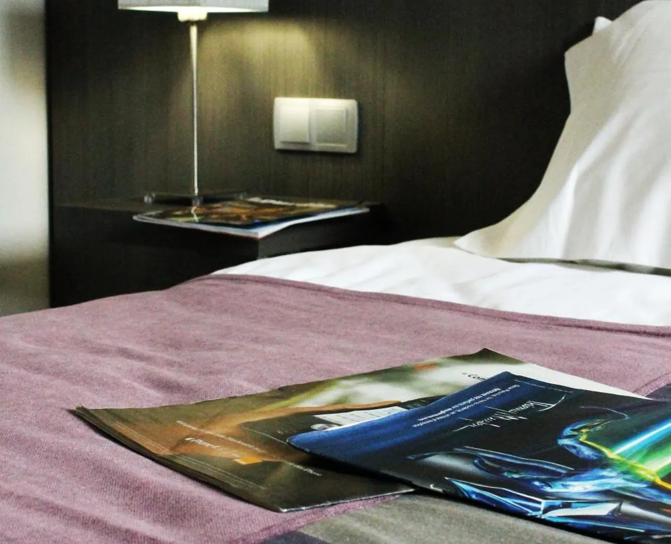 Hotel Des Rosiers Lourdes