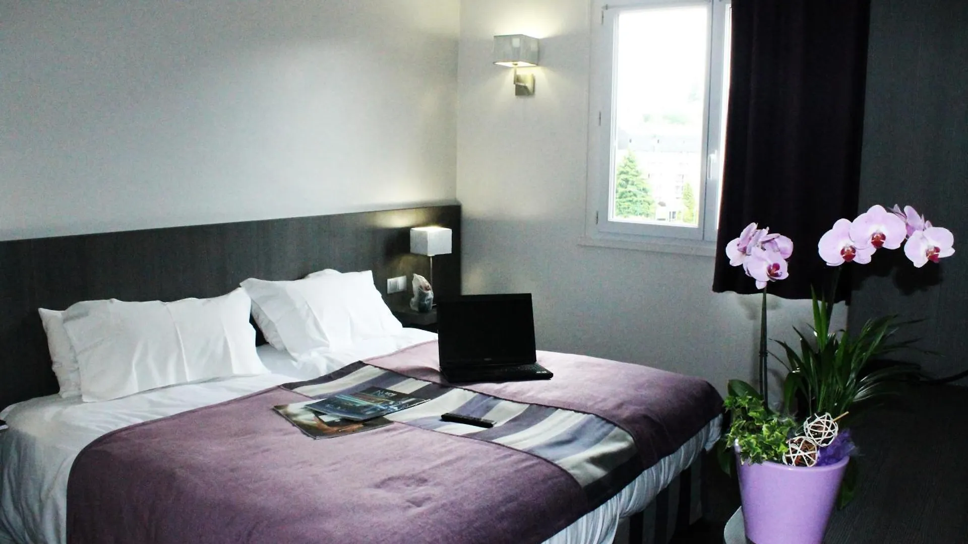 Hotel Des Rosiers Lourdes