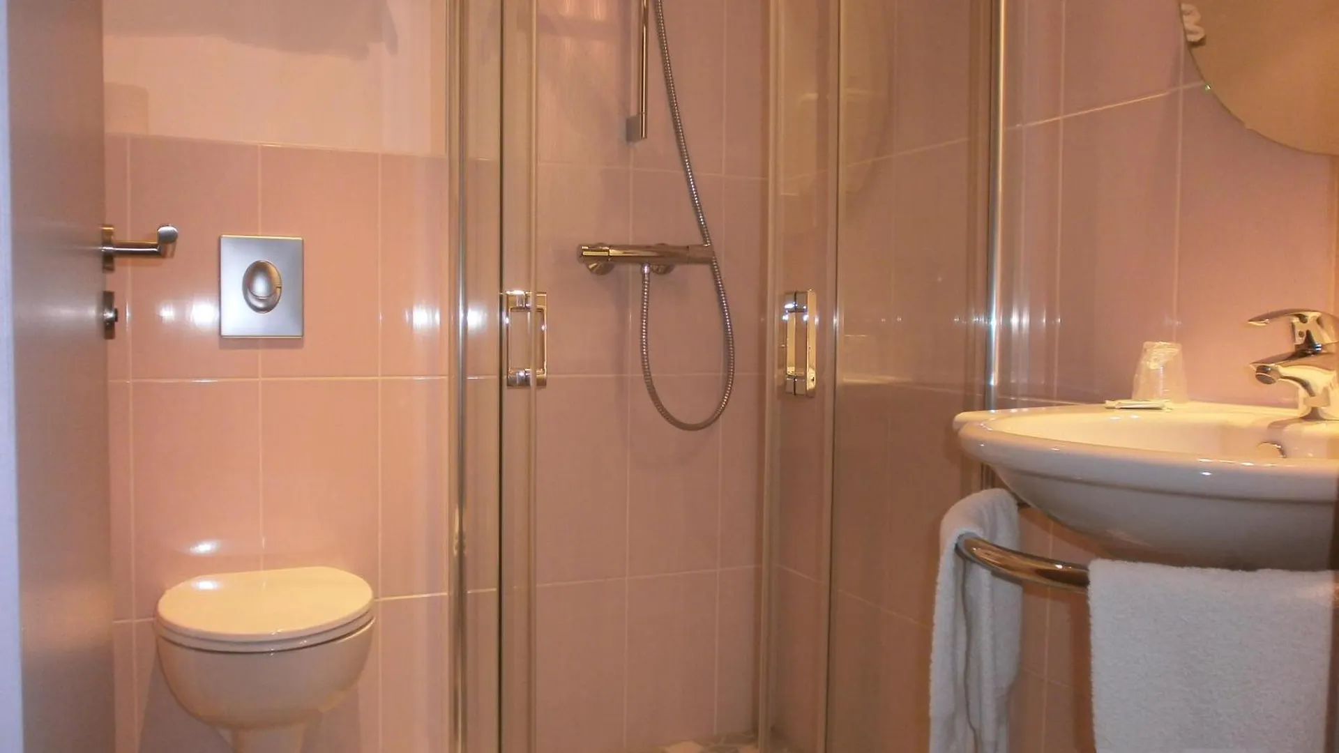 Hotel Des Rosiers Lourdes