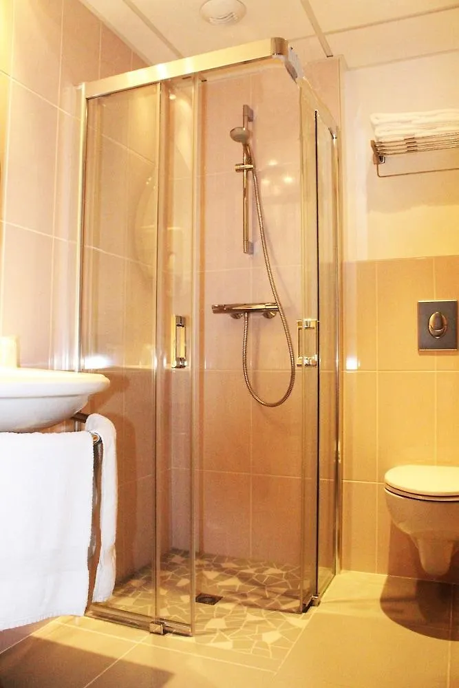 Hotel Des Rosiers Lourdes